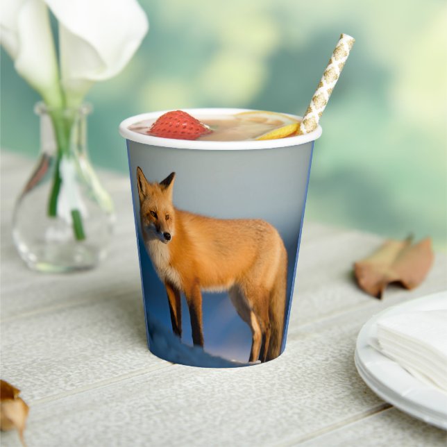 Brown Fox Paper Cups (Insitu)