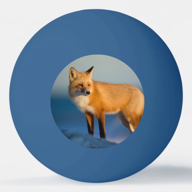 Brown Fox Ping Pong Ball (Front)