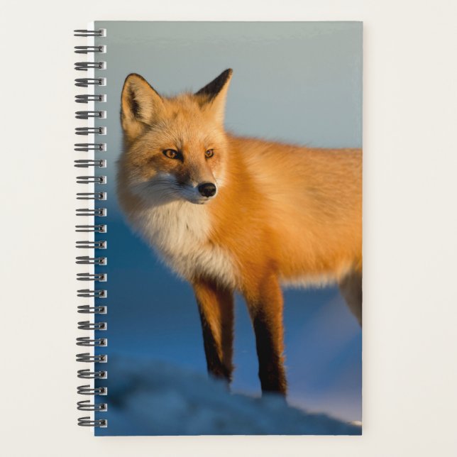 Brown Fox Planner (Front)