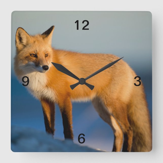 Brown Fox Square Wall Clock (Front)