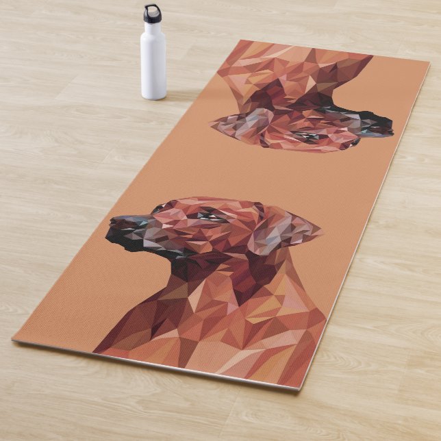 Brown Geometric Dog on Brown Yoga Mat (In Situ)