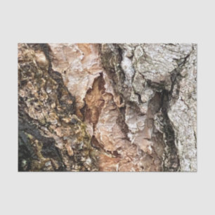 Brown Grey Tree Bark Texture Old Photo Art Tissue Paper