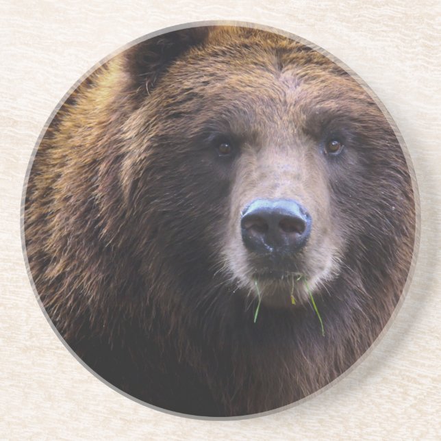 Brown Grizzly Bear Coaster (Front)