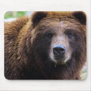 Brown Grizzly Bear Mouse Mat