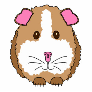 Brown Guinea Pig Photo Sculpture Key Ring