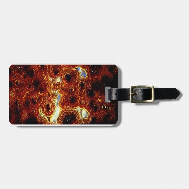 Brown Guy Tie Luggage Label (Front Horizontal)