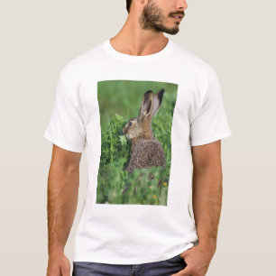 Brown Hare, Lepus europaeus, young eating, T-Shirt