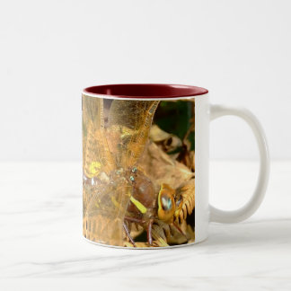 Brown Hawker Dragonfly(F) Two-Tone Coffee Mug