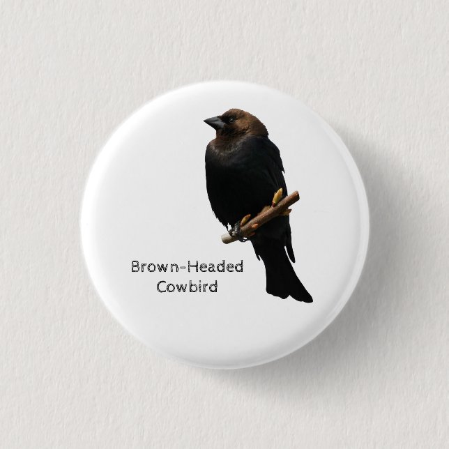 Brown-Headed Cowbird 3 Cm Round Badge (Front)