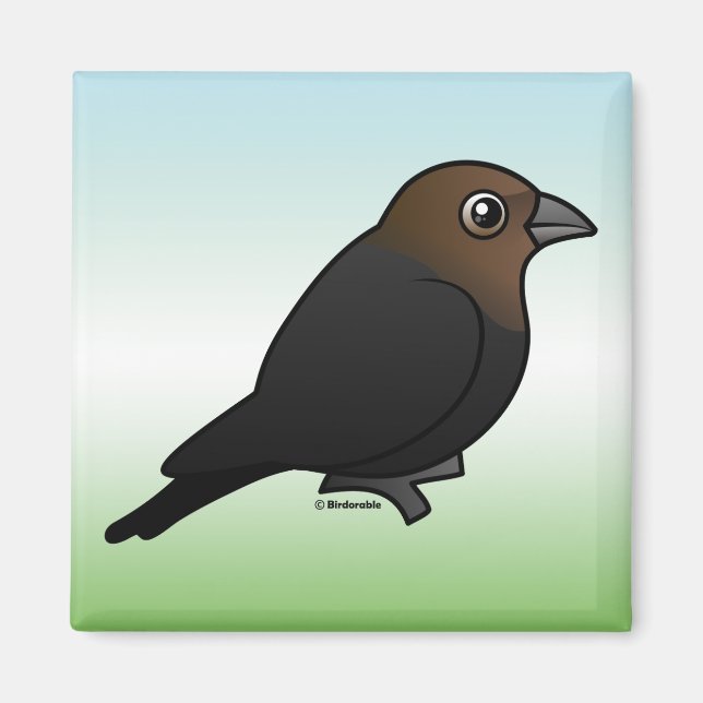 Brown-headed Cowbird Magnet (Front)