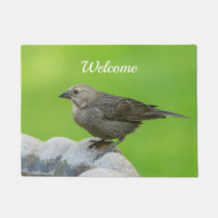 Brown Headed Cowbird Welcome Doormat