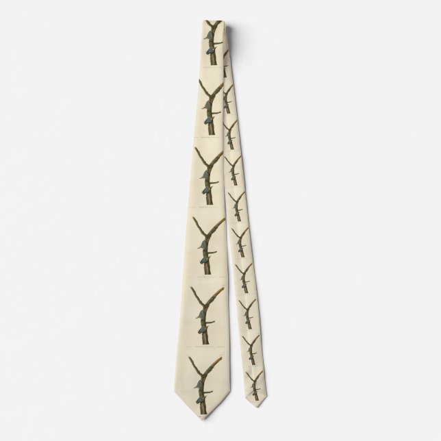 Brown-headed Nuthatch - Audubon's Birds of America Tie (Front)