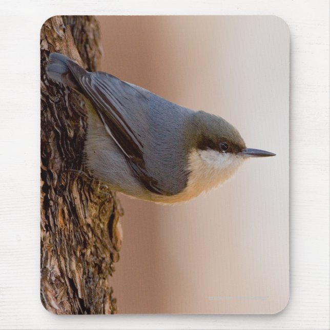 Brown-headed Nuthatch Mouse Mat (Front)