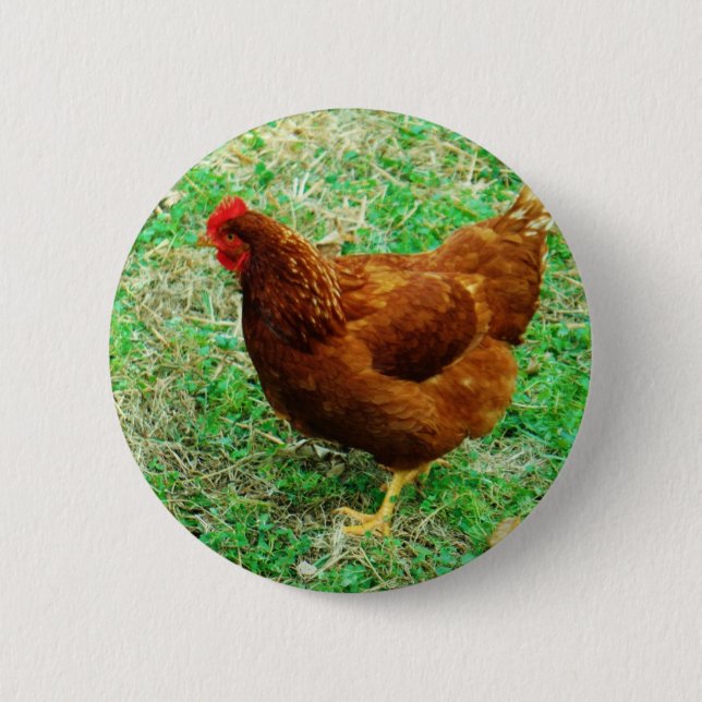 Brown Hen 6 Cm Round Badge (Front)