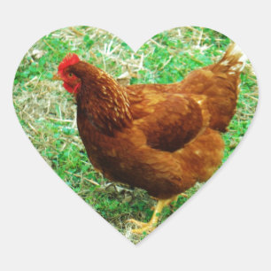 Brown Hen Heart Sticker