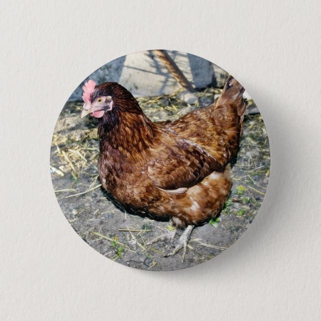 Brown Hen On The Back Yard 6 Cm Round Badge (Front)