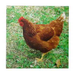 Brown Hen Tile