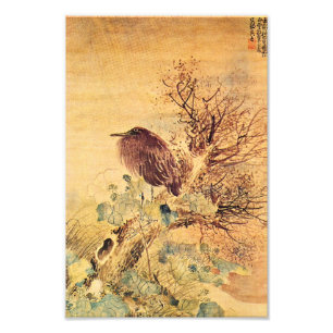 Brown Heron with Hibiscus Flowers Photo Print