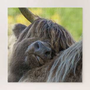 Brown Highland Cow Jigsaw Puzzle