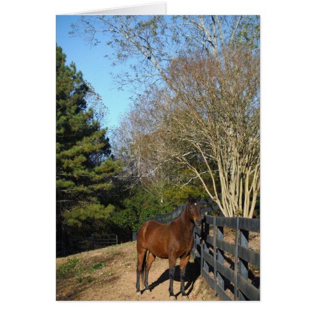 Brown Horse against a Fence (Front)