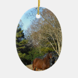 Brown Horse against a Fence Ceramic Tree Decoration