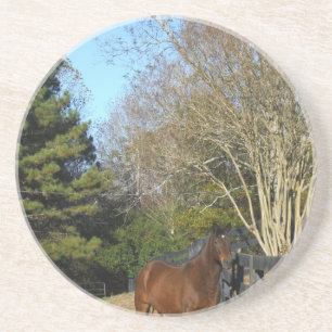Brown Horse against a Fence Coaster