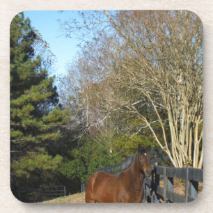 Brown Horse against a Fence Coaster