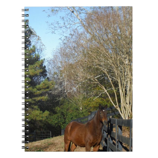 Brown Horse against a Fence Notebook (Front)