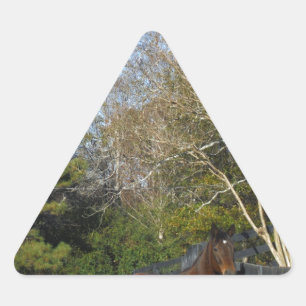 Brown Horse against a Fence Triangle Sticker