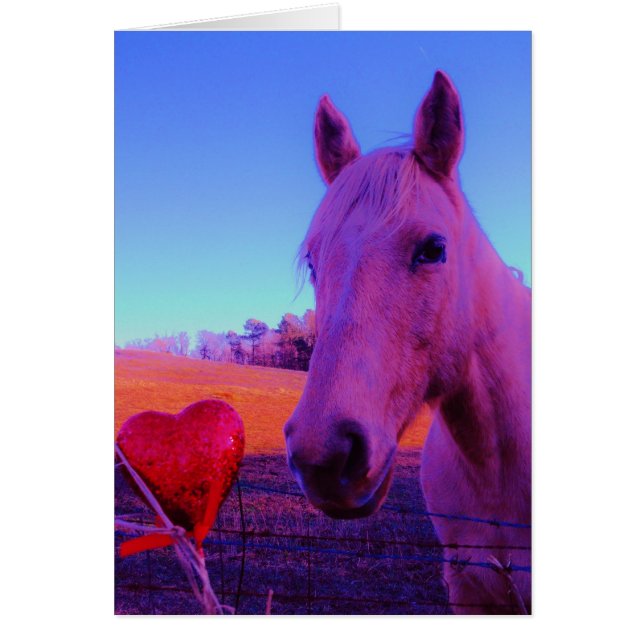 Brown Horse and Red Heart (Front)