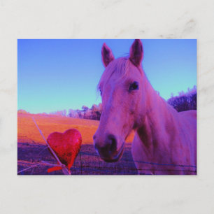 Brown Horse and Red Heart Postcard