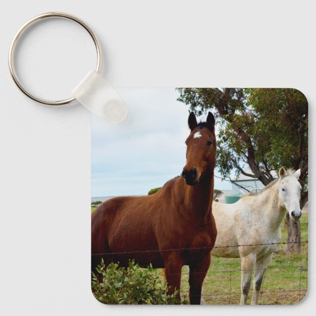 Brown Horse And White Mare, Key Ring (Front)