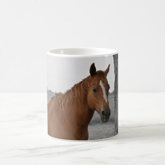 Brown Horse, B&W Background Mug (Center)