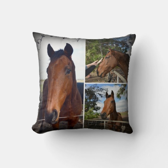 Brown Horse Beauty Photo Collage, Cushion (Front)