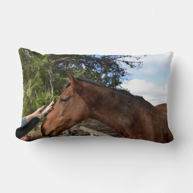 Brown Horse Called Bennie Loving A  Pat, Lumbar Cushion (Front)