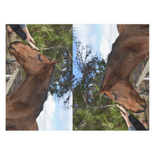 Brown Horse Called Bennie Loving A Pat, Tablecloth