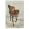 Brown Horse Carte Postale French Green Decoupage  