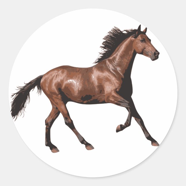 Brown Horse  Classic Round Sticker (Front)