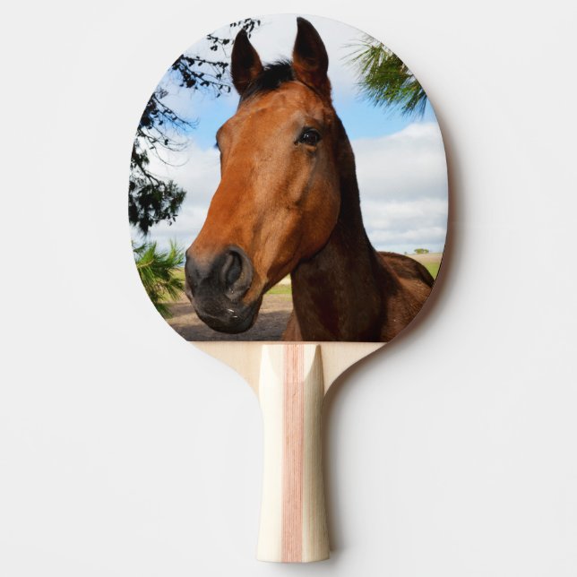 Brown Horse Face, Ping Pong Paddle (Front)