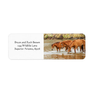 Brown horse  family at the river