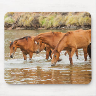 Brown Horse family at the river Mouse Mat