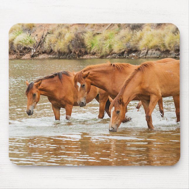 Brown Horse  family at the river Mouse Mat (Front)
