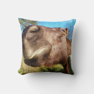 Brown horse funny face teal blue sky cushion
