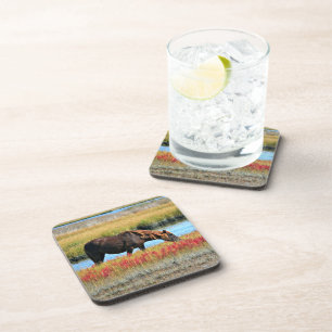 Brown Horse Grazing by Water Beverage Art Coaster