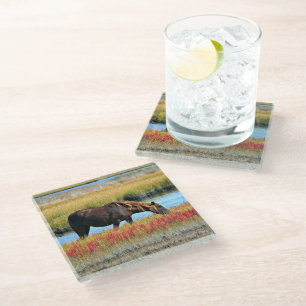 Brown Horse Grazing by Water Glass Art Coaster