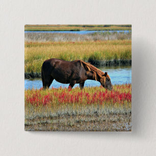 Brown Horse Grazing by Water Meadow 15 Cm Square Badge