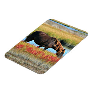 Brown Horse Grazing by Water Meadow Magnet