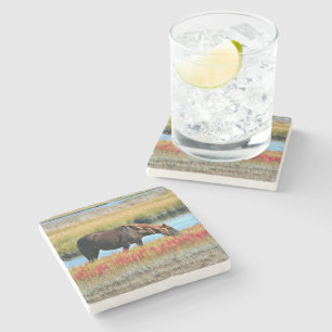 Brown Horse Grazing by Water Meadow Stone Coaster