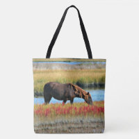Brown Horse Grazing by Water Meadow