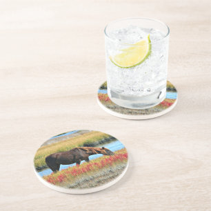 Brown Horse Grazing by Water Sandstone Art Coaster